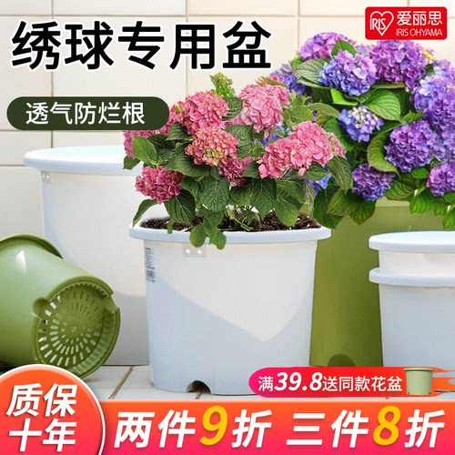 爱丽思Deepot盆栽家用青山树脂加仑盆绣球龟背竹爱丽丝塑料花盆