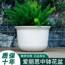 爱丽丝塑料树脂中钵控根绿萝多肉加厚清仓仿陶瓷爱丽思花盆大号