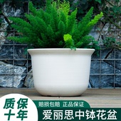 爱丽丝塑料树脂中钵控根绿萝多肉加厚清仓仿陶瓷爱丽思花盆大号