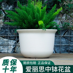 爱丽丝塑料树脂中钵控根绿萝多肉加厚清仓仿陶瓷爱丽思花盆大号