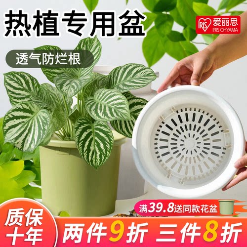 爱丽思Deepot盆栽家用青山树脂加仑盆热植龟背竹爱丽丝塑料花盆