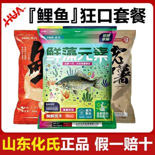 化氏正品鲤鱼配方鲜藻元素饵料龙年大鲤老红薯野钓鲤鱼饵钓鱼食