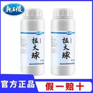 龙王恨拉大球拉丝粉钓鱼专用小麦蛋白鱼饵拉个球黑坑野钓鲫鱼拉饵