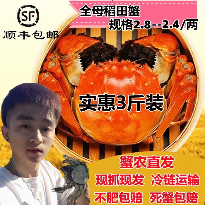 盘锦河蟹现抓先发顺丰包邮