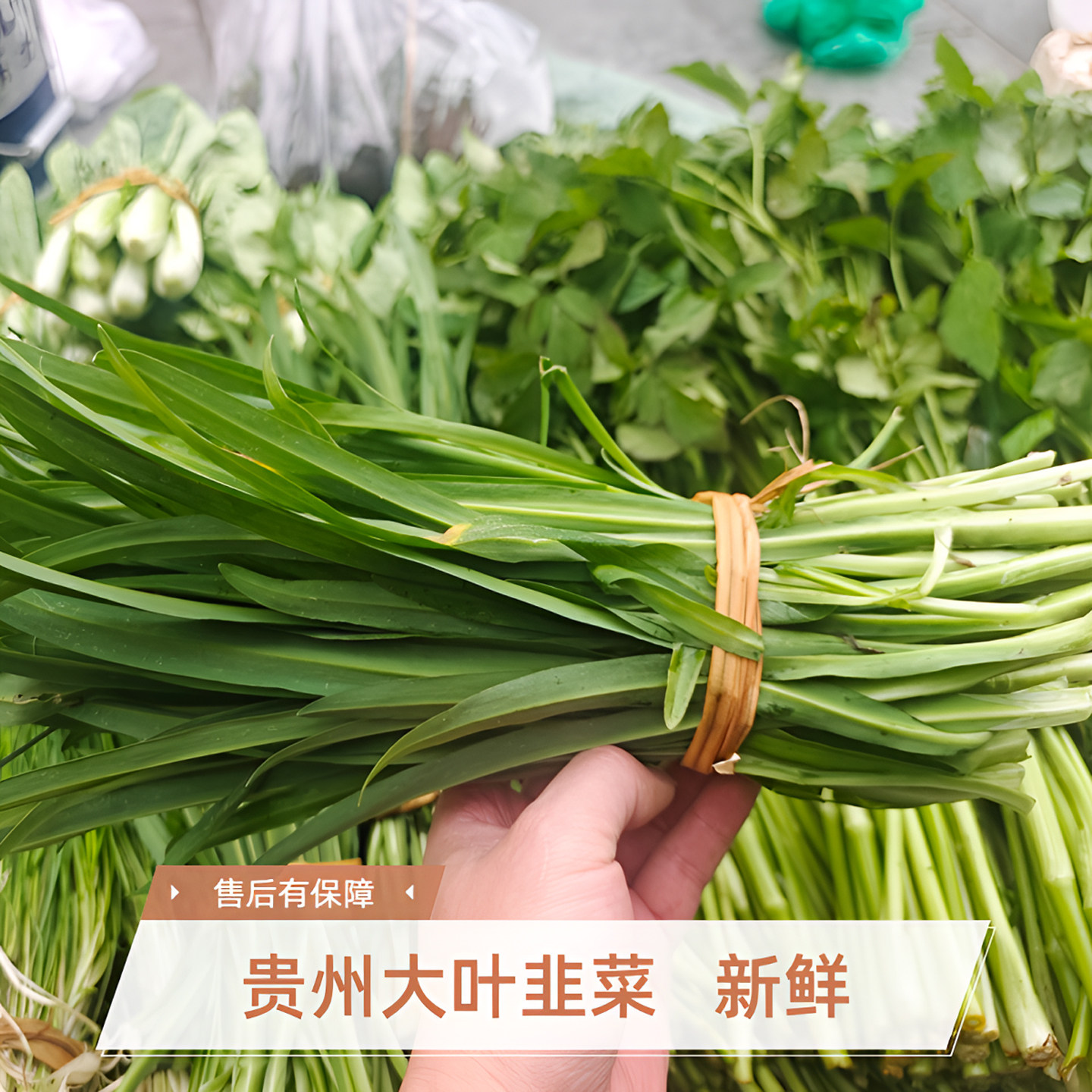贵州大叶韭菜新鲜韭黄黔东南农家露天种植时令蔬菜现摘发货包邮