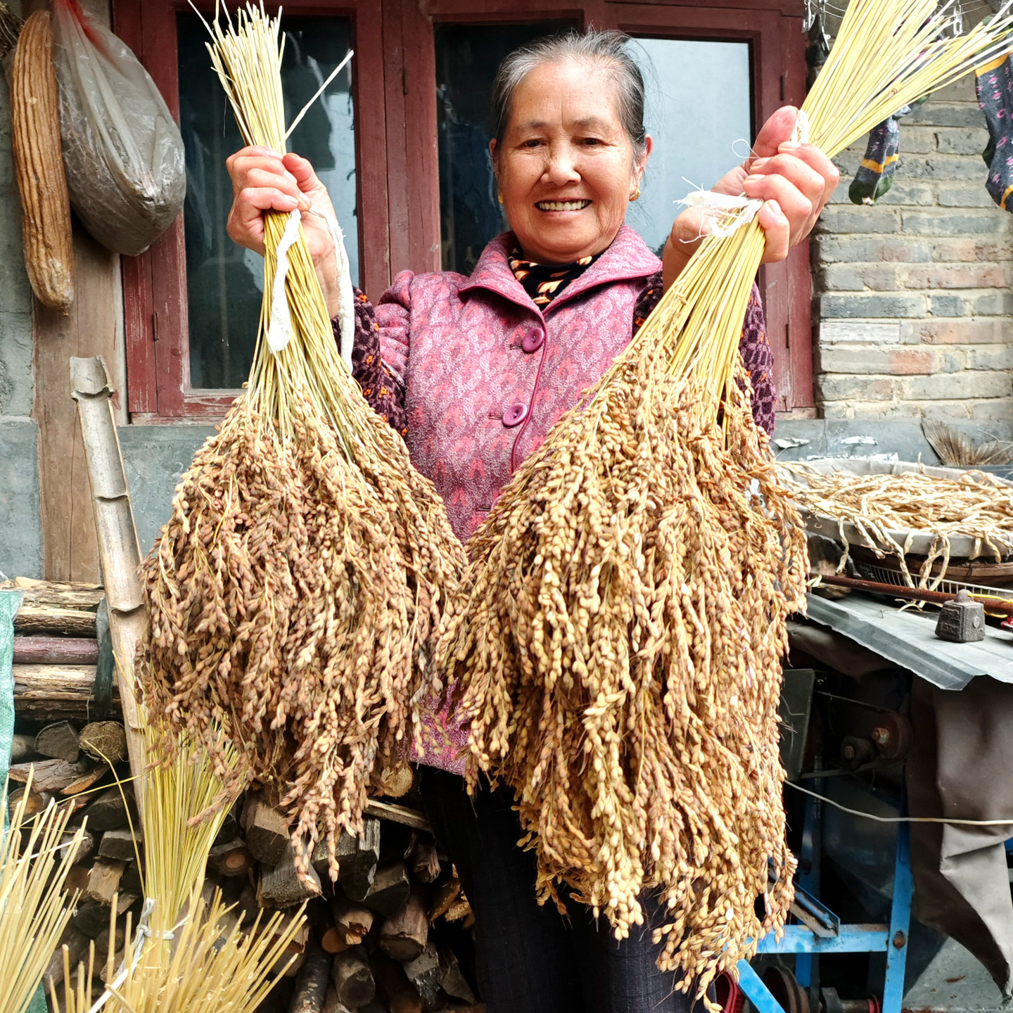 贵州特产黎平香禾糯米从江圆粒糯米25年新米糯谷稻穗真稻谷带壳,粮油调味/速食/干货/烘焙,糯米,淘宝优惠券,粉丝福利购,淘宝优惠卷
