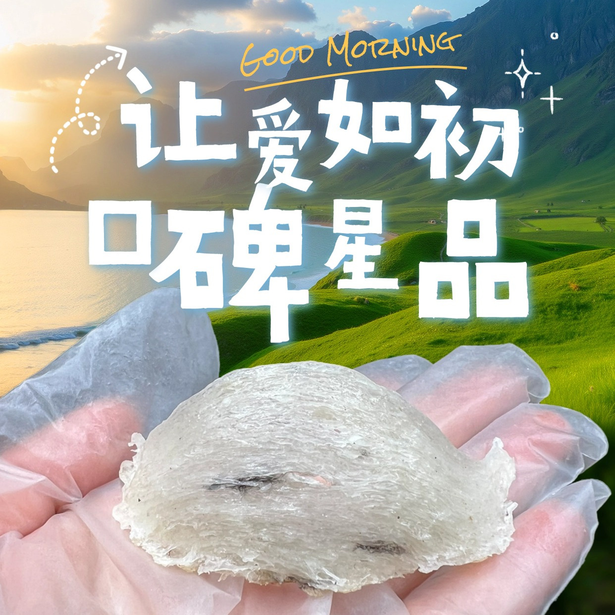 极4＋轻毛小盏原生态唾液酸高