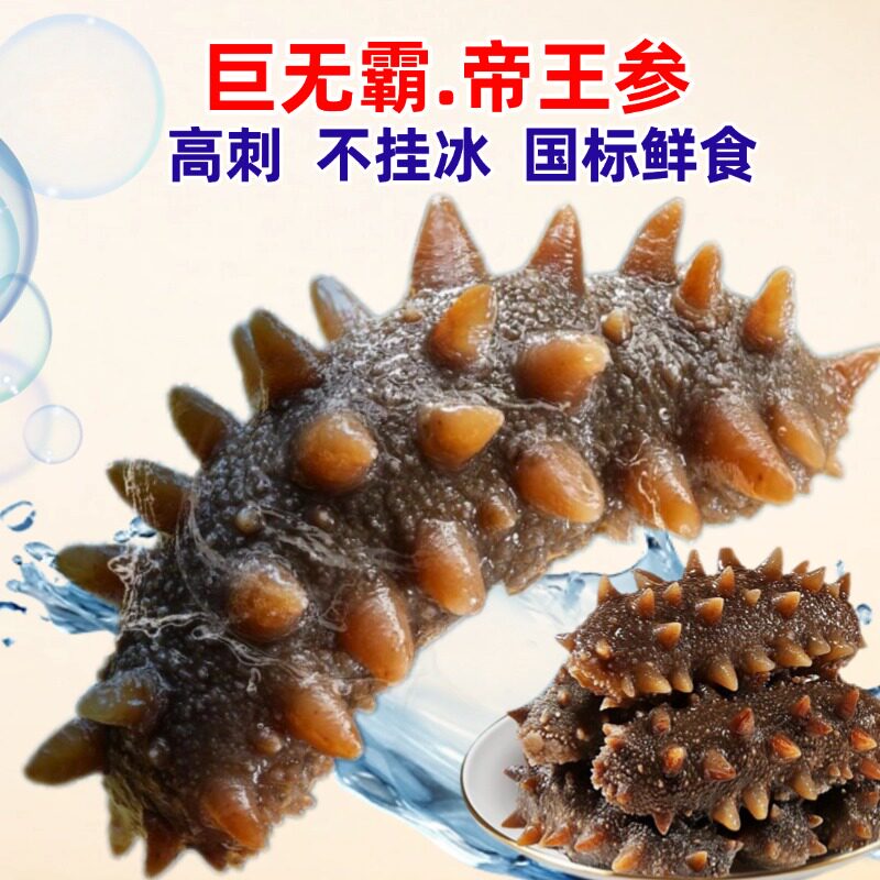 帝王参大连海参鲜蒸野生海参鲜活孕妇刺参辽参鲜食淡干即速食礼盒