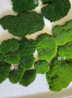 永生苔藓精品白发藓 新中式禅意青苔室内景观日式枯山水造景软装