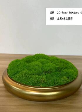 新中式永生苔藓金属花瓶酒店样板间茶几餐桌桌面禅意饰品摆件花艺