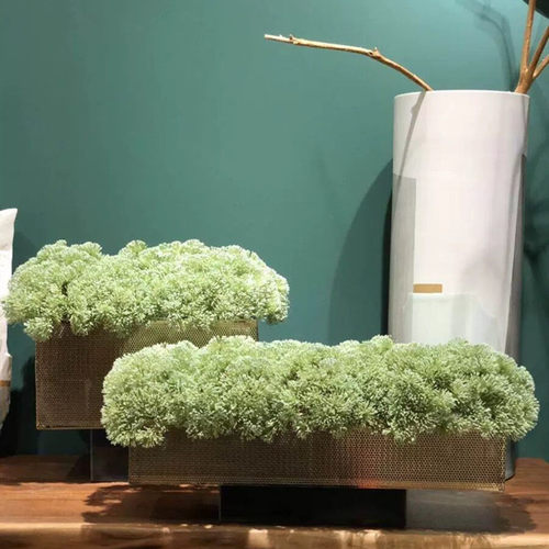 金属长方形永生苔藓样板间大理石