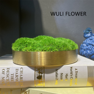 轻奢金属永生苔藓插花摆件 饰品 售楼部会所洽谈桌茶几台面软装