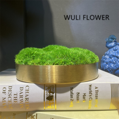 轻奢金属永生苔藓插花摆件  售楼部会所洽谈桌茶几台面软装饰品