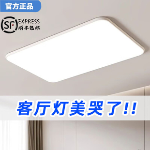 欧普达科奇中山灯具厂直销家用护眼主灯新款客厅灯现代简约吸顶灯