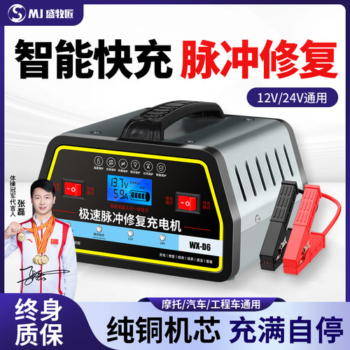 汽车电瓶充电器通用型12v24v009