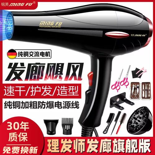 大功率吹风机家用理发店发型师专用超大风力工业用发廊速干电风筒