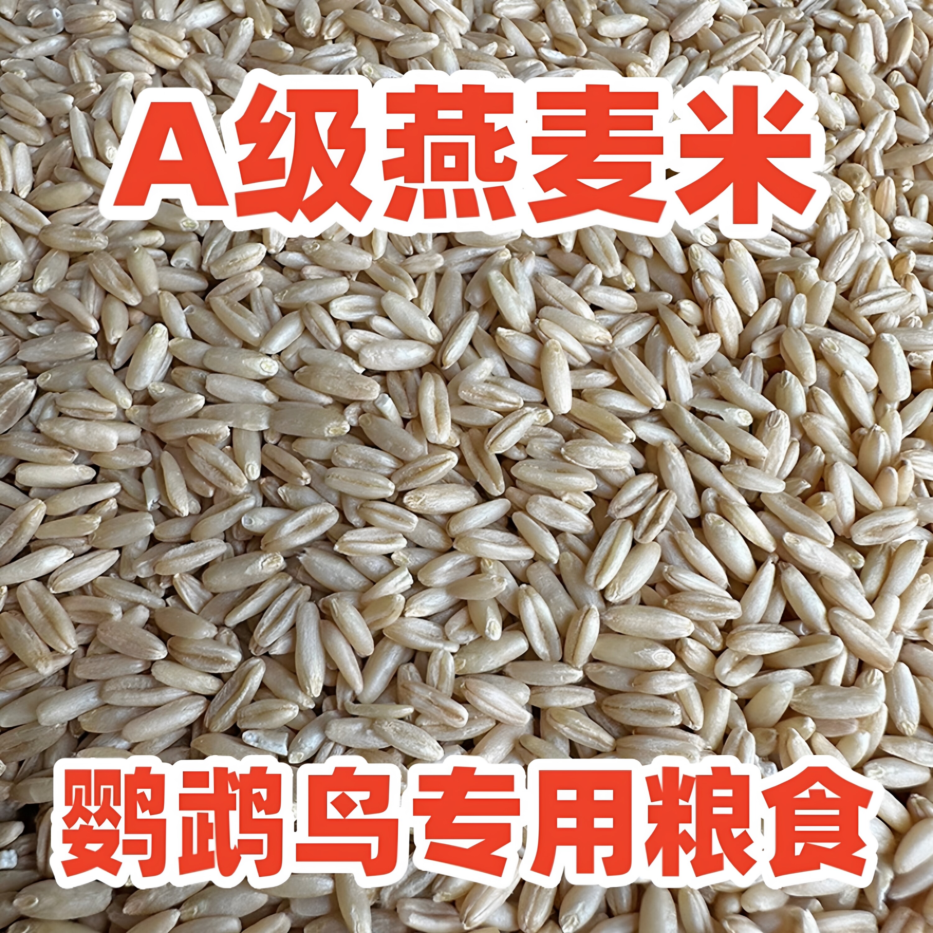 新米燕麦米鹦鹉专用鸟粮