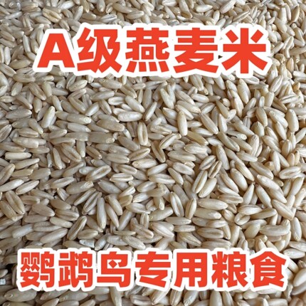 鹦鹉燕麦米新米小太阳和尚牡丹玄凤鹦鹉专用鸟粮谷物谷子鸟食饲料