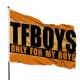 TFBOYS应援旗十周年演唱会后援会新款 定制粉丝团周边大旗带伸缩杆