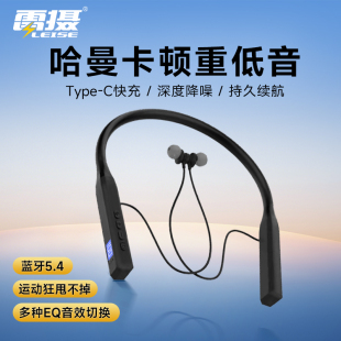 雷摄挂脖蓝牙2025新款耳机真无线长续航快充入耳式运动耳机