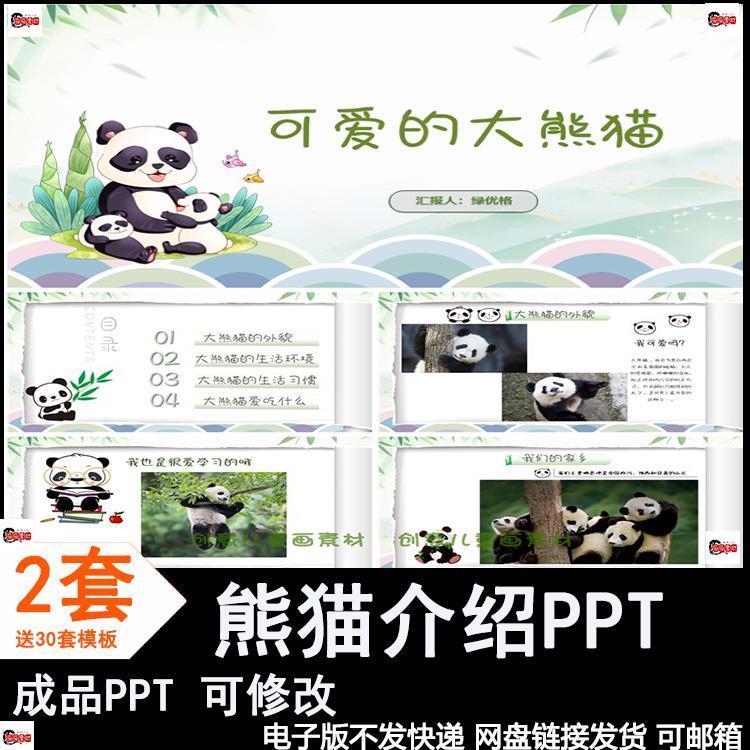 儿童认识大熊猫PPT课件学生科普动物关爱保护动物介绍成品PPT模板