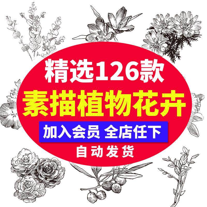 手绘花朵花草花卉素描黑白植物速写手稿PNG插画AI矢量图案PS素材