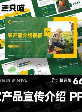 农产品公司宣传介绍推广有机绿色食品生态农业招商策划PPT模板wps