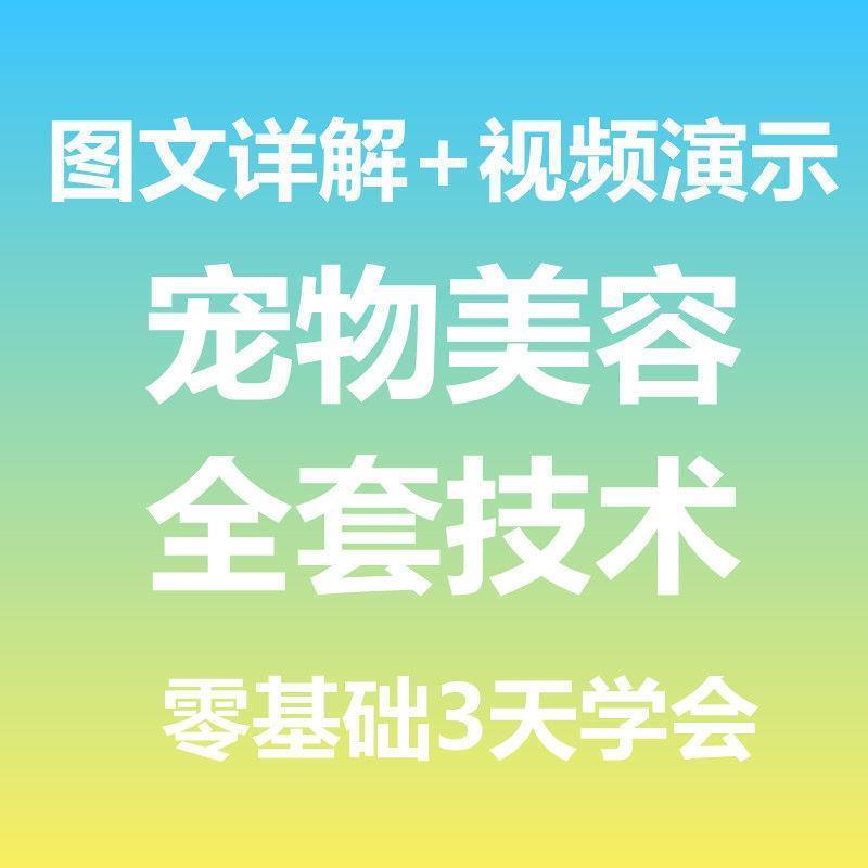 宠物美容视频教程造型护理师技术培训教学自学泰迪比熊剪毛大全套