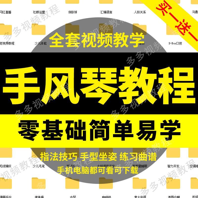手风琴视频教程大全入门到精通自学习课程演奏独奏名曲教学资料