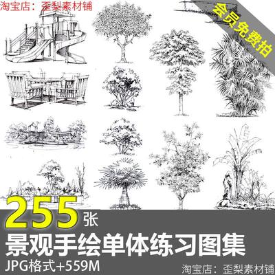 园林景观单体植物手绘速写树木花草小景钢笔画马克笔临摹图片素材