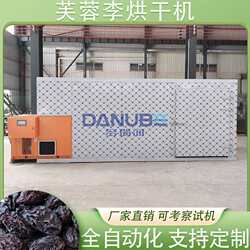 芙蓉李烘干机箱式永泰芙蓉李永泰李夫人李干燥机李子烘干机设备
