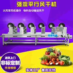 厂家生产大荔萝卜风干线 南乡萝卜风干机 全自动蔓菁沥水风干设备