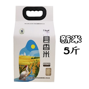 洋县香米新米长粒香米营养粥饭汉中一级大米5斤装 陕西汉中特产