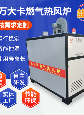 20万大卡燃气热风炉工业环保热风锅炉烘干暖风炉养殖取暖节能锅炉