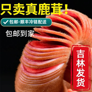 鲜鹿茸 梅花鹿茸长白山新鲜鹿茸片带血鹿茸鲜片泡酒煲汤整枝切片