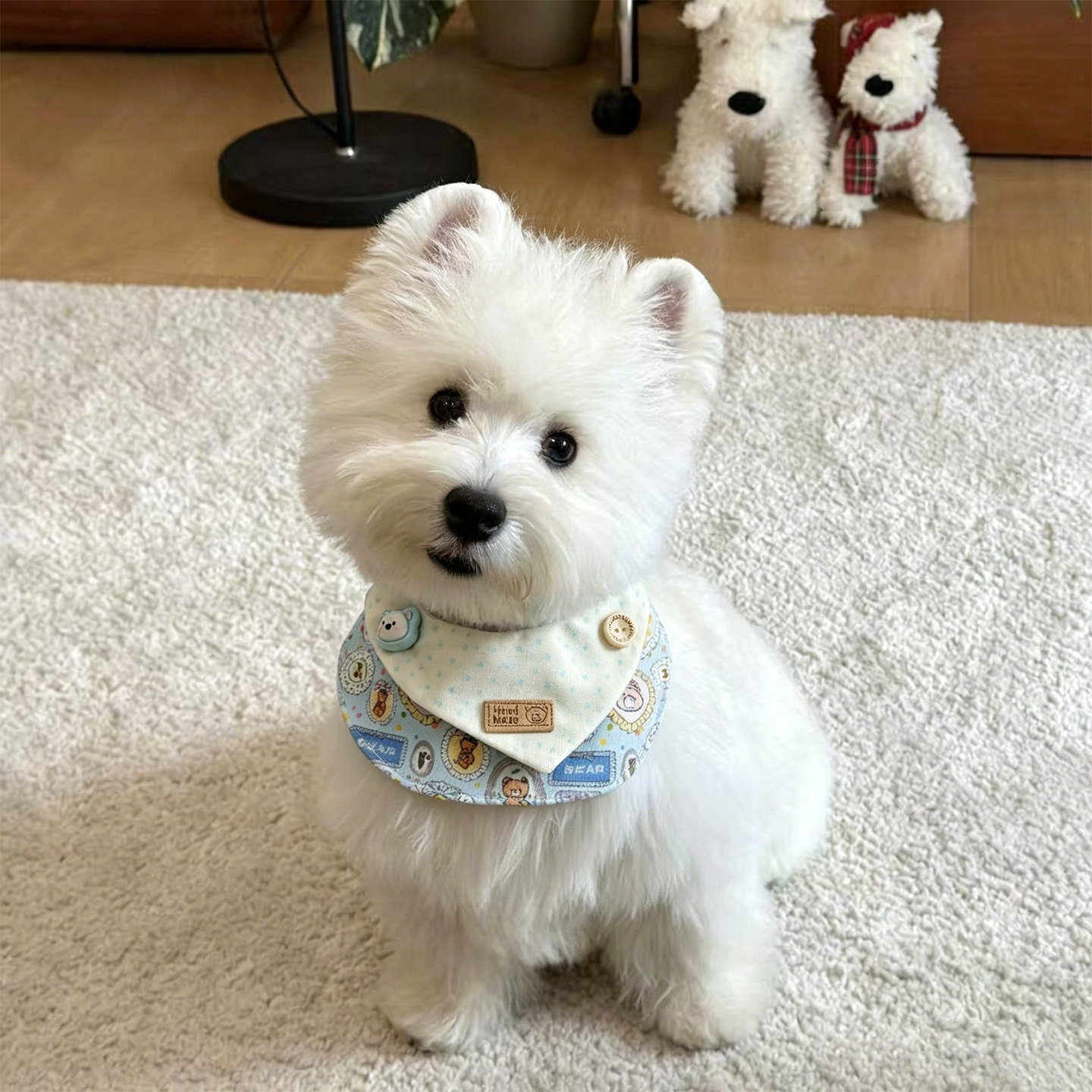 可爱宠物狗狗猫咪围脖围兜口水巾