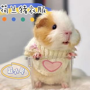 荷兰猪衣服冬季宠物保暖专用可爱毛衣蜜袋鼯豚鼠龙猫小宠过冬卫衣