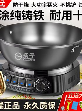 2026新款扬子铸铁电炒锅无涂层电锅多功能家用炒菜锅煮锅电热火锅