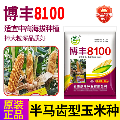 半马齿型、穗长粒深、大棒