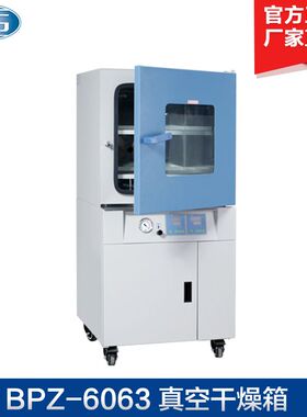 上海一恒 BPZ-6063/6063B 真空干燥箱 (程序液晶控制器)
