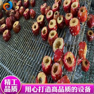 杰创全自动巧克力浸浆机 网红产品胭脂果裹糖机 支持现场试机