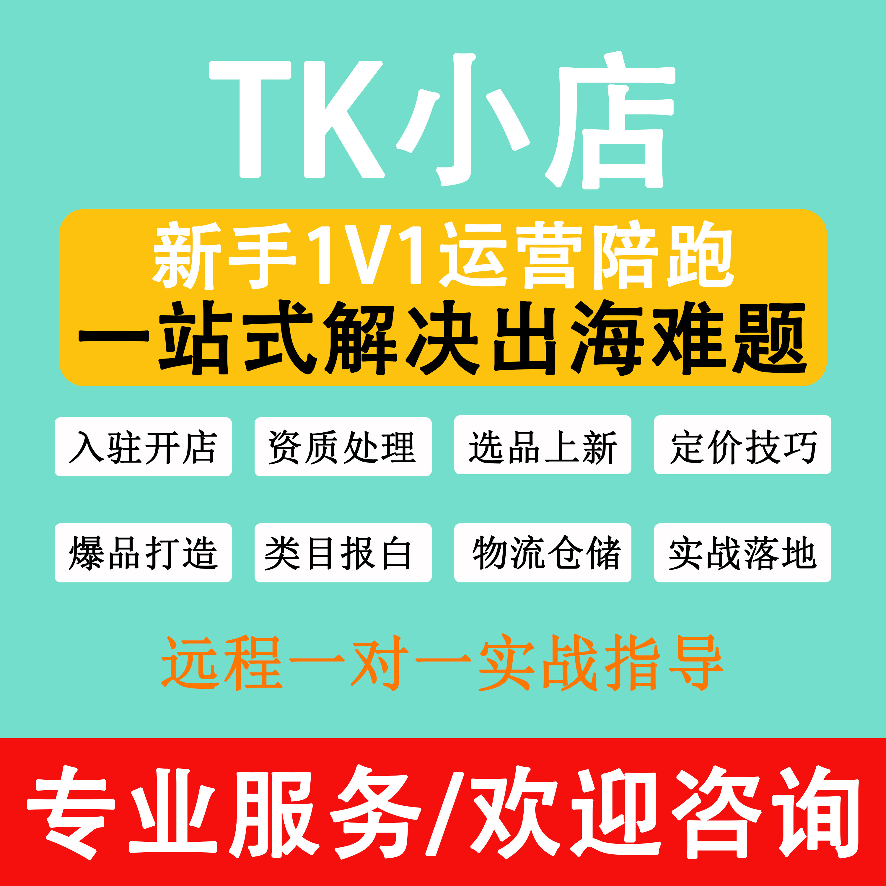 tk东南亚出海跨境电商运营tk店铺语音远程教学一对一陪跑线下陪跑图片