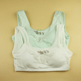 Pads pour soutien-gorge - Ref 820054 Image 52