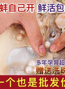 自己开珍珠蚌淡水天然活蚌多珠蚌取珠贝壳珍珠活体现货鲜活爱迪生