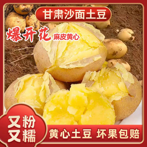 26年甘肃定西沙面土豆