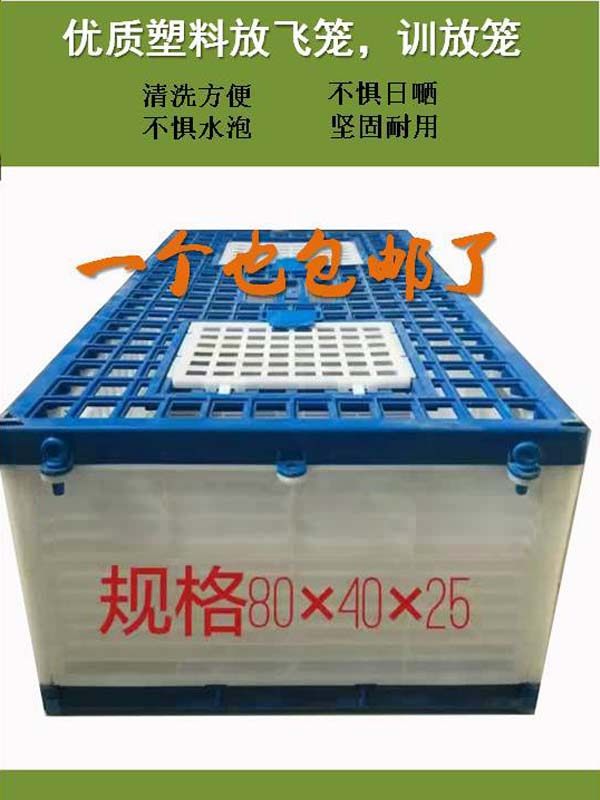 鸽具/放飞笼/训放笼/报道笼/信鸽塑料笼/鸽子笼/信鸽笼/直销包邮