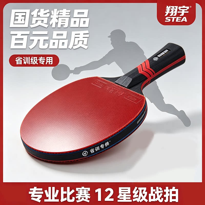 乒乓球拍专业级单拍十二星直拍横拍正品碳素木板6星12星比赛高端