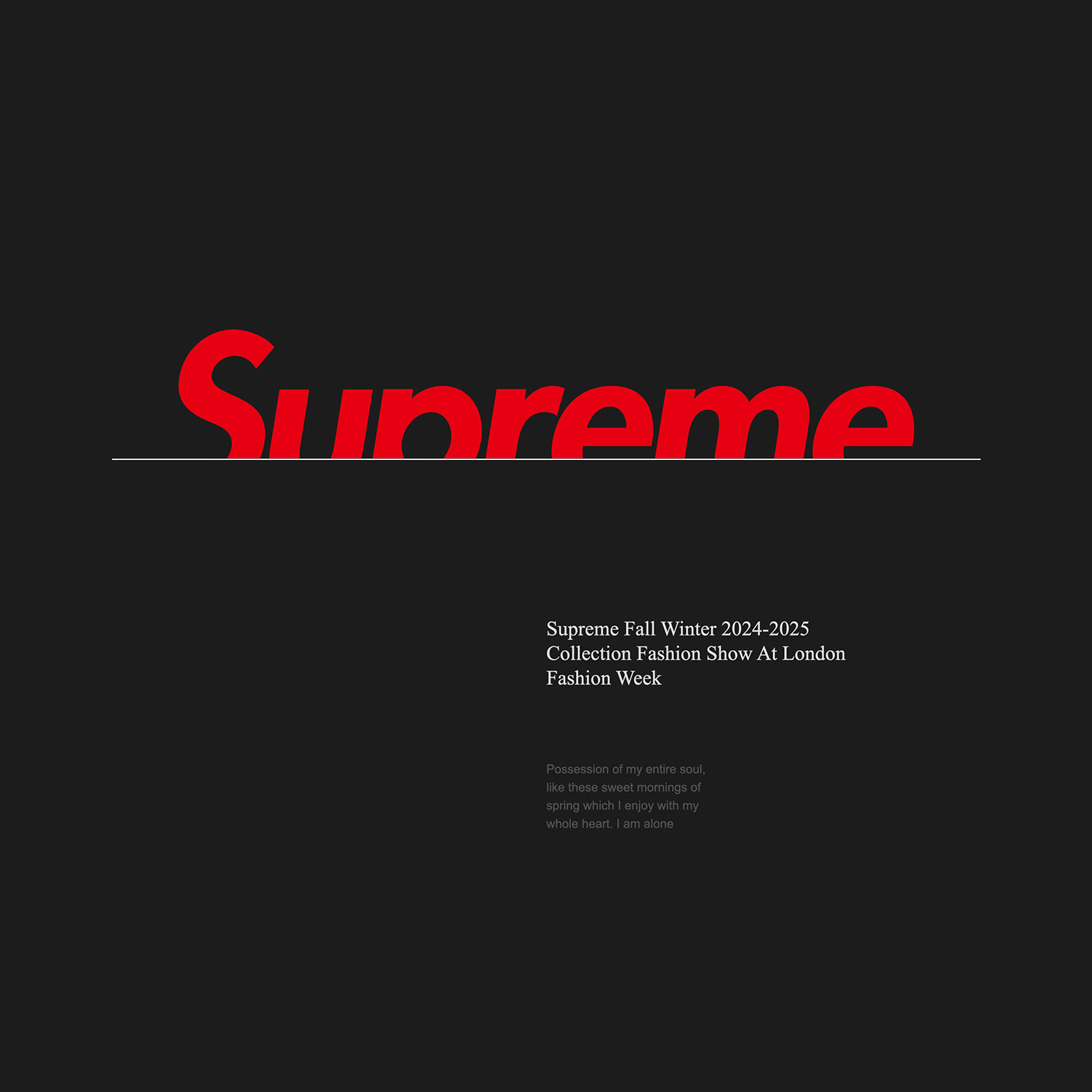 supreme keynote模板100页 潮牌潮流服饰服装品牌keynote模板