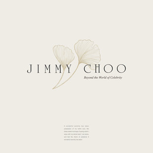 100页 轻奢女鞋 JimmyChoo 调研PPT模板 周仰杰时尚产业课程设计