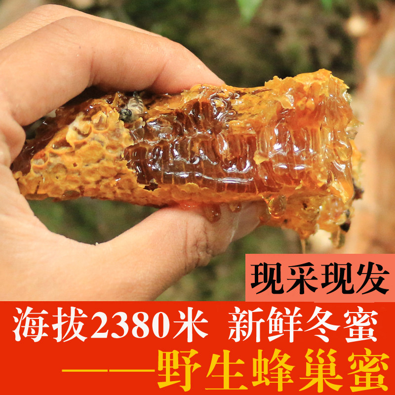 老顾客拍800g装大盒蜂巢蜜 野生蜂蜜新鲜冬蜜现采高原蜜有老巢蜜